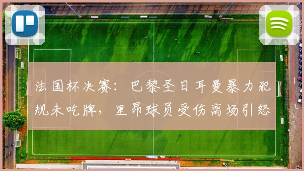 法国杯决赛：巴黎圣日耳曼暴力犯规未吃牌，里昂球员受伤离场引怒